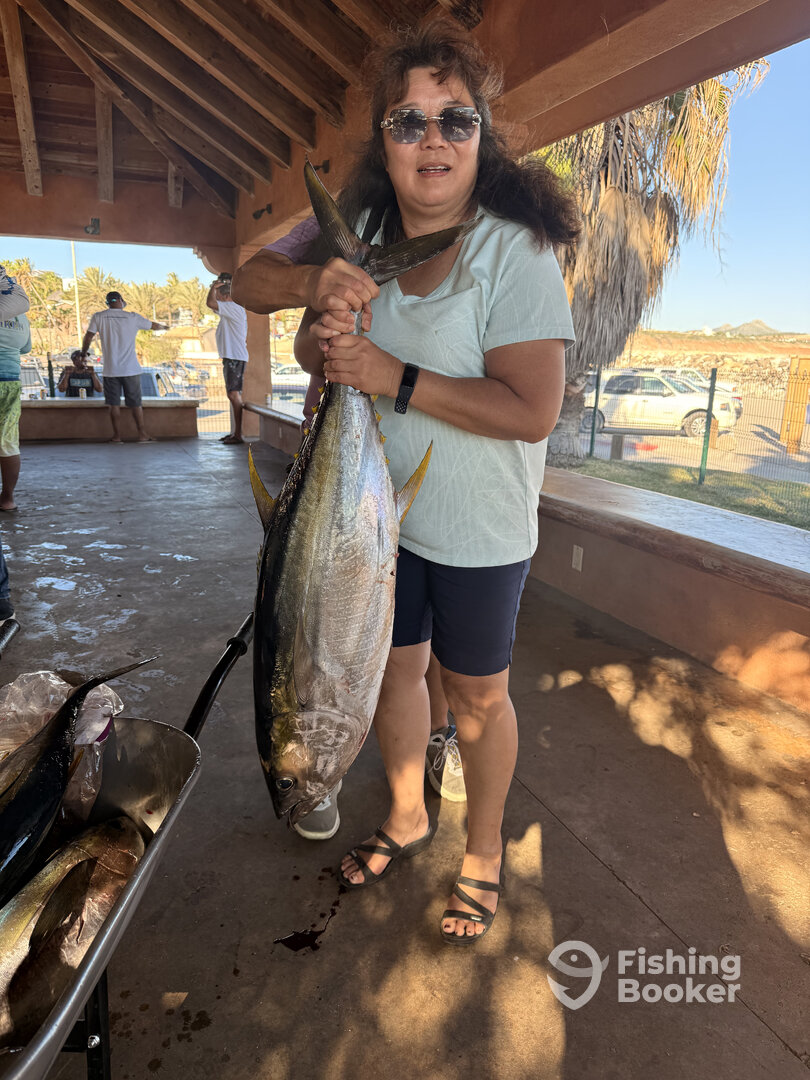 Gulf of California Report Photo 0