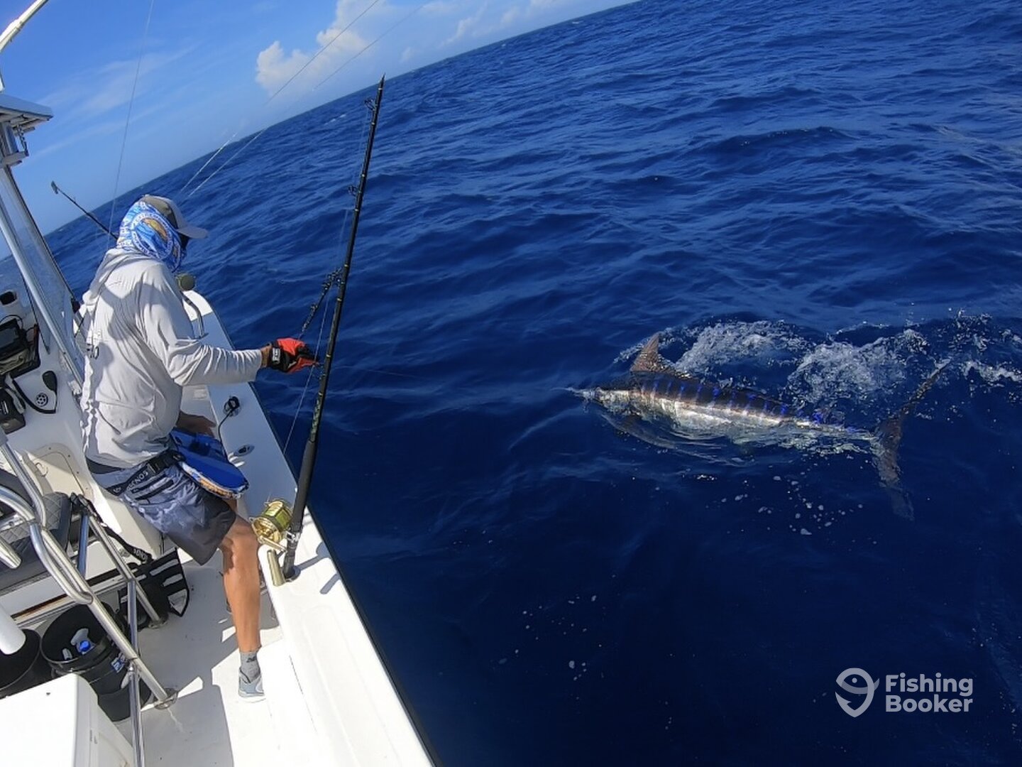 San Juan Report Photo 0