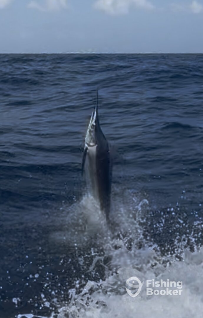 San Juan Report Photo 0