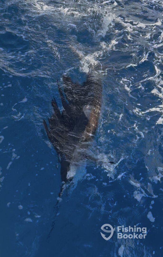 San Juan Report Photo 0