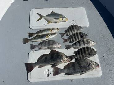 Fort Myers Report Photo 2