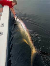 November 20th, 2025 II