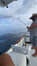 Zihuatanejo Report Photo 2