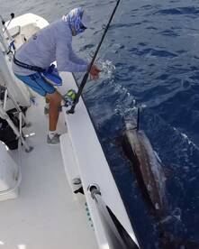 Special day! November 24th, 2025