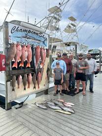 Snapper Special Rates!!! 