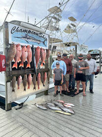 Snapper Special Rates!!! 