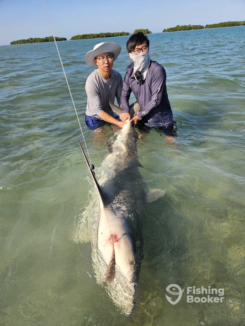 Stock Island Report Photo 0