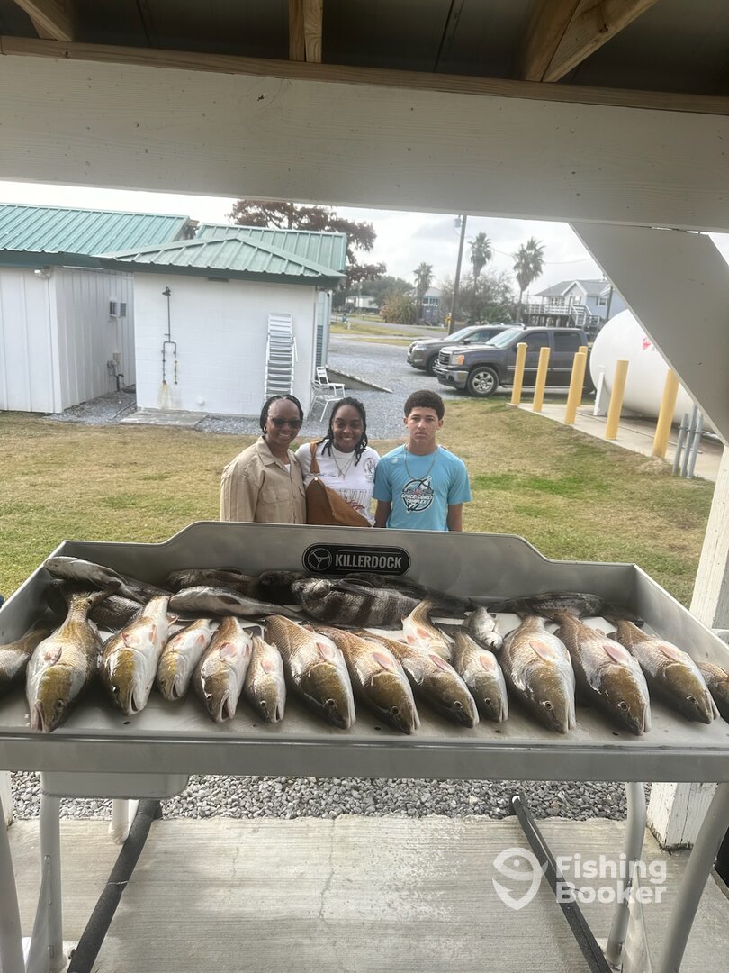 Sulphur Report Photo 0