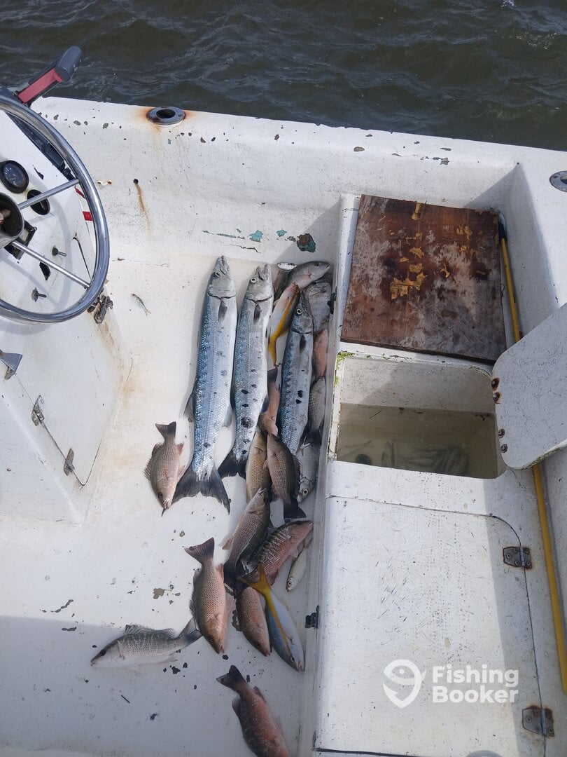 San Pedro Report Photo 0