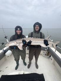 Berkeley Report Photo 2