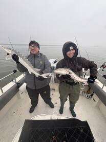 Berkeley Report Photo 1