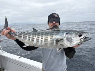 Phenomenal big bonita fishing, Limits on