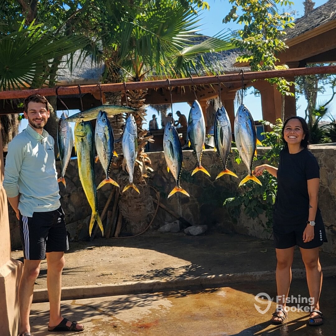 San Jose del Cabo Report Photo 0