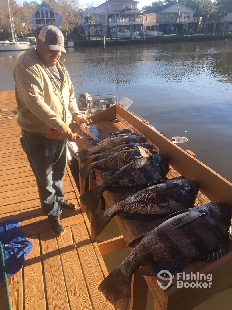 Houston Report Photo 0