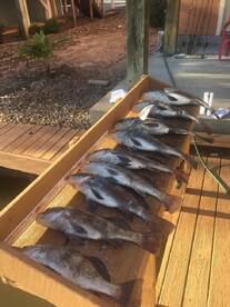 Trinity Bay Report Photo 1