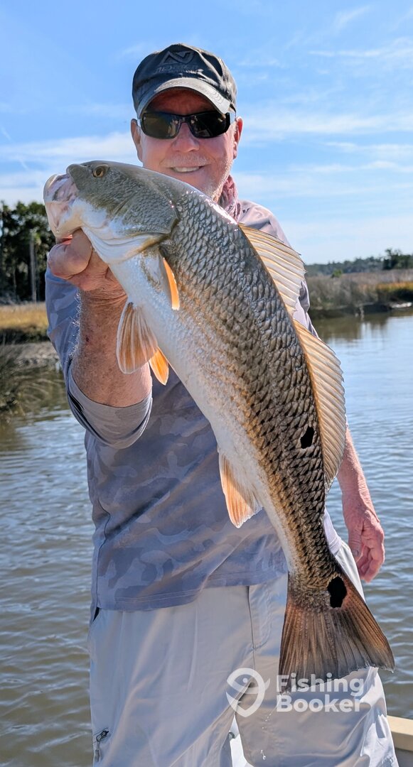 Yankeetown Report Photo 0