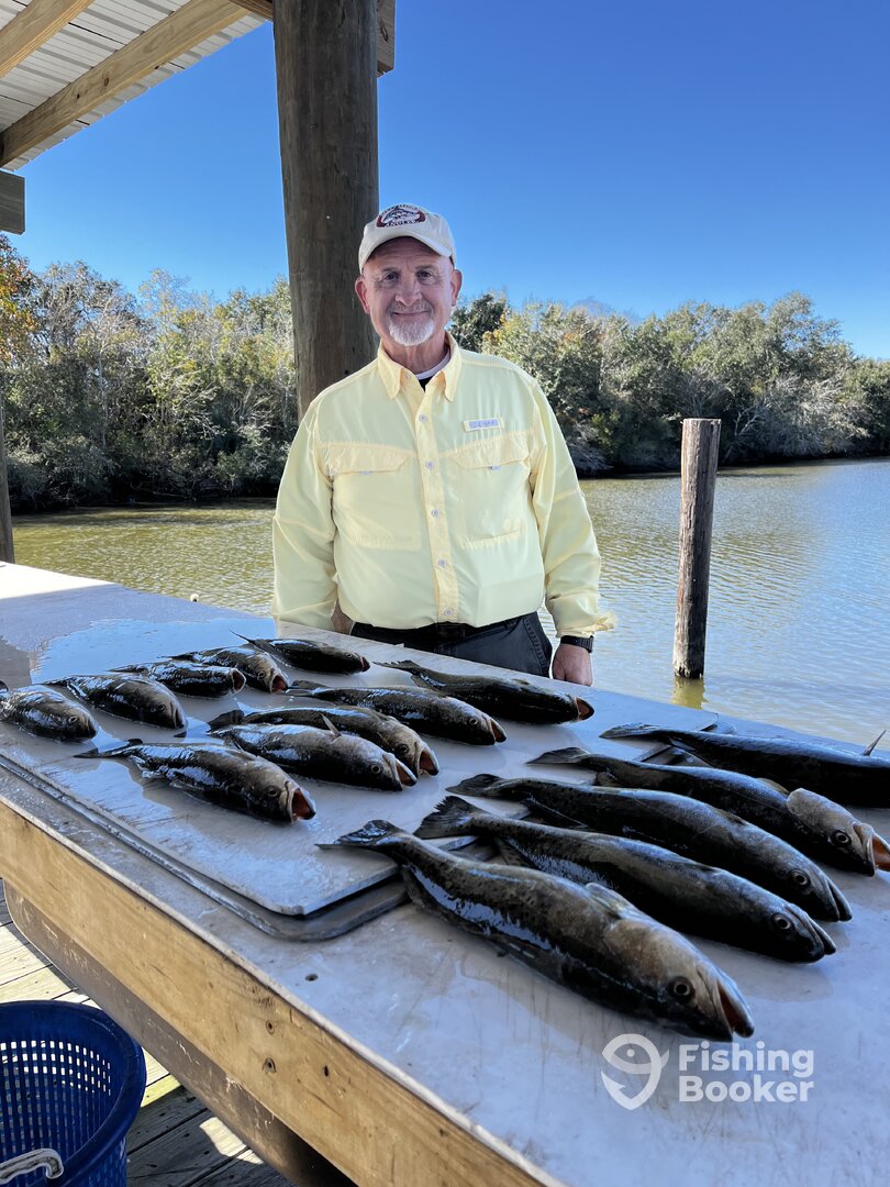 St. Bernard Report Photo 0