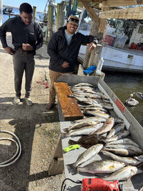 New Orleans Report Photo 2