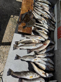 New Orleans Report Photo 2