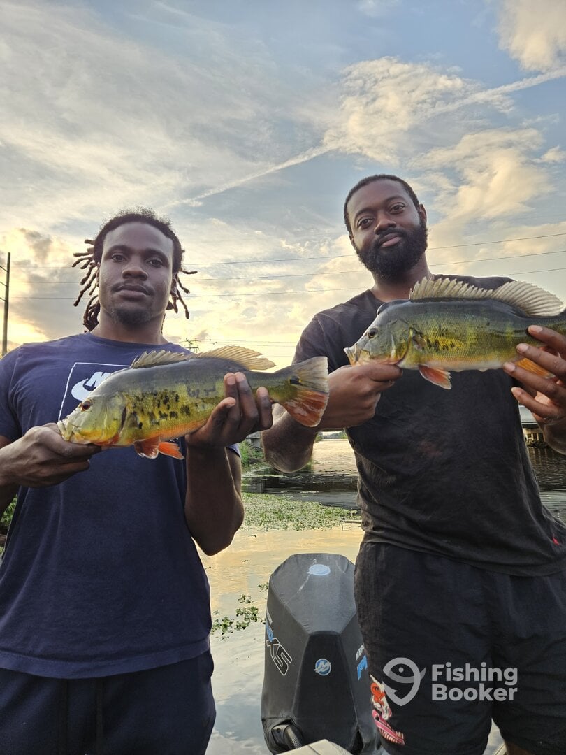 Fort Lauderdale Report Photo 0