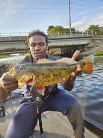 Fort Lauderdale Report Photo 2