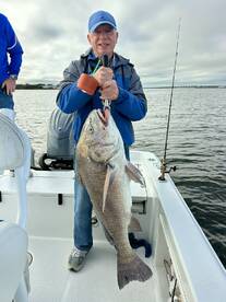 Biloxi Report Photo 2