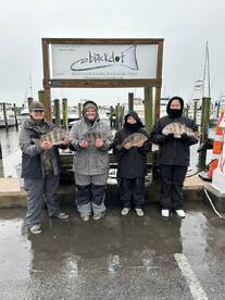 Mississippi Report Photo 2