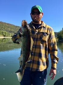 Harding Report Photo 1