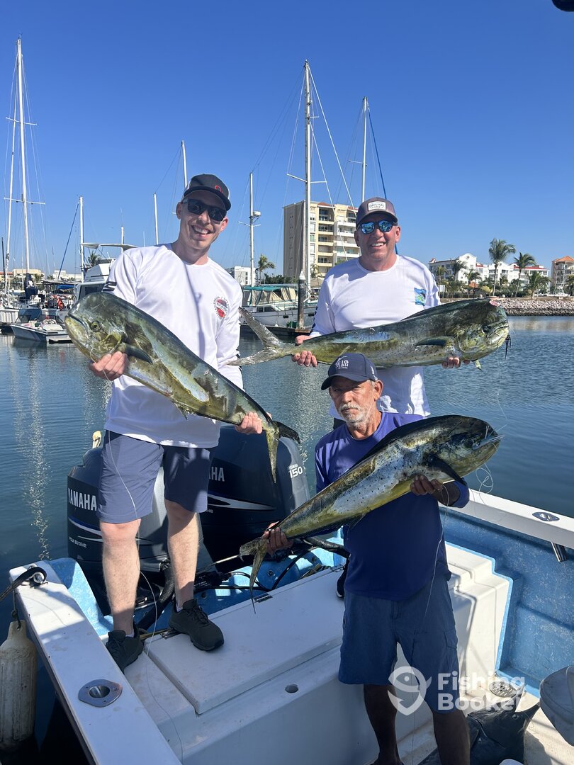 Mazatlán Report Photo 0