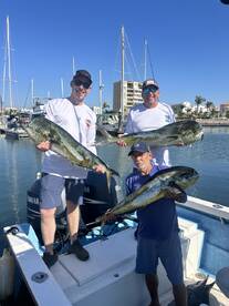 Mahi mahi are here ! 