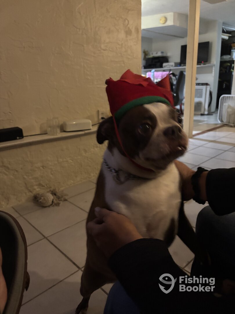 Florida Keys Report Photo 0