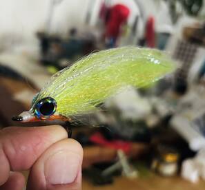 Florida Keys Report Photo 1