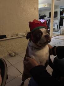 Upper Keys Report Photo 1