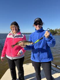 Punta Gorda Report Photo 2