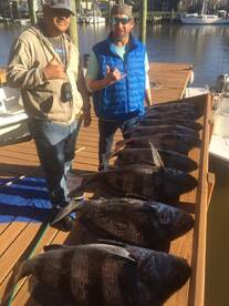 Texas Report Photo 2