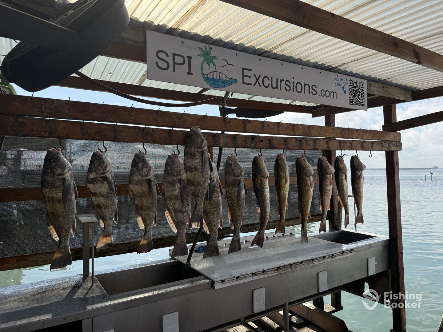 South Padre Island Report Photo 0