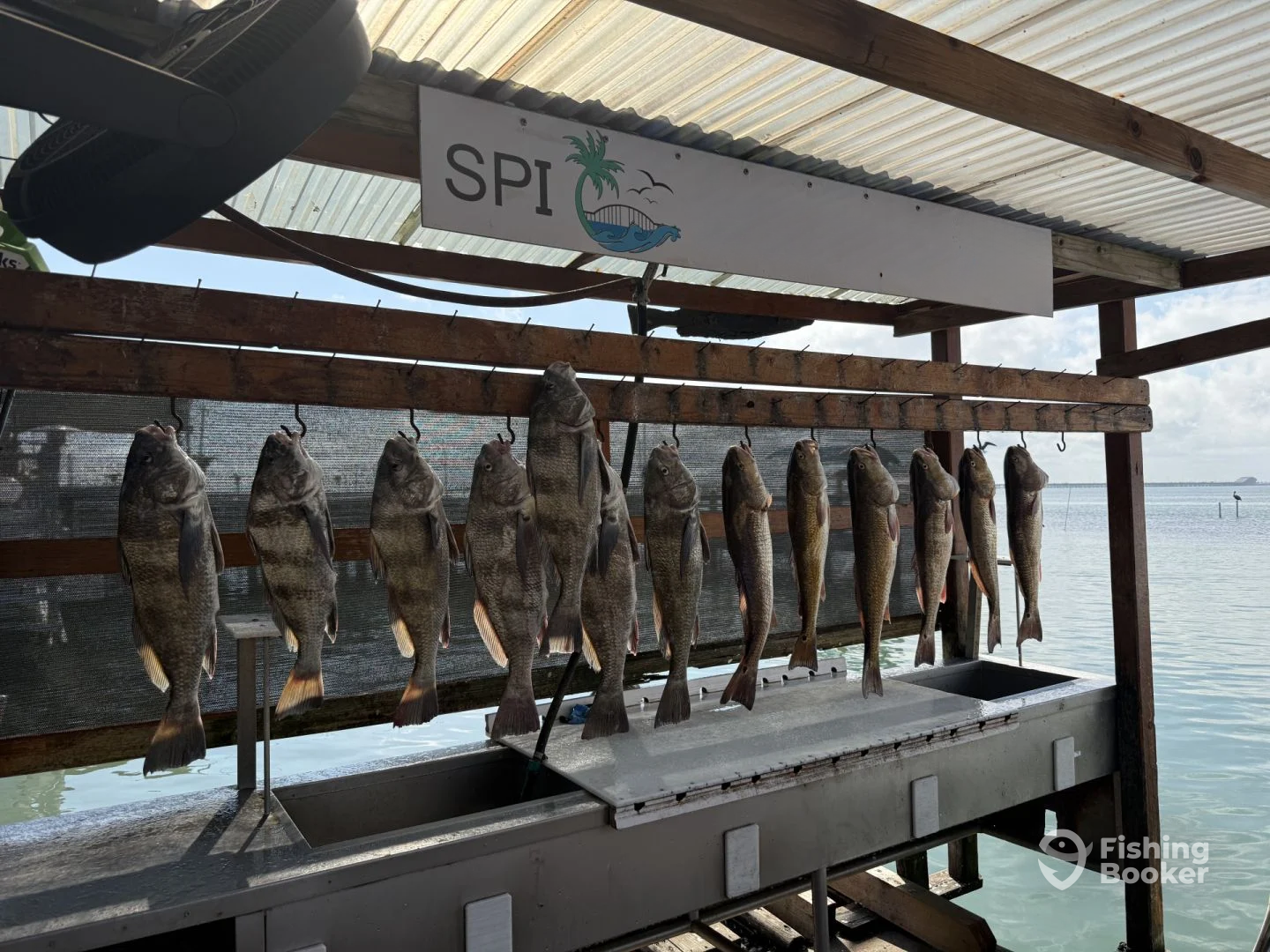 South Padre Island Report Photo 0