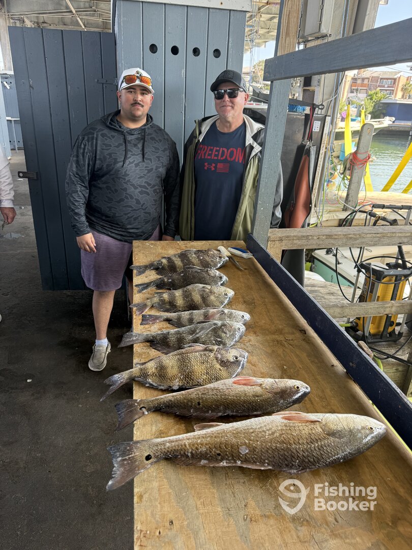 Texas Report Photo 0