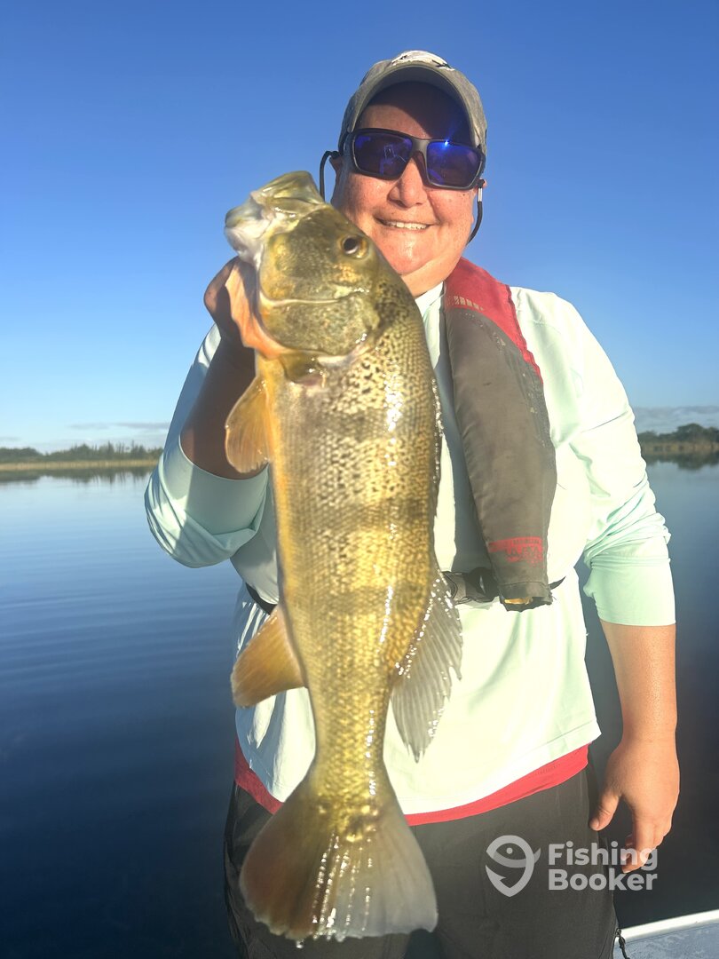 Toa Alta Report Photo 0