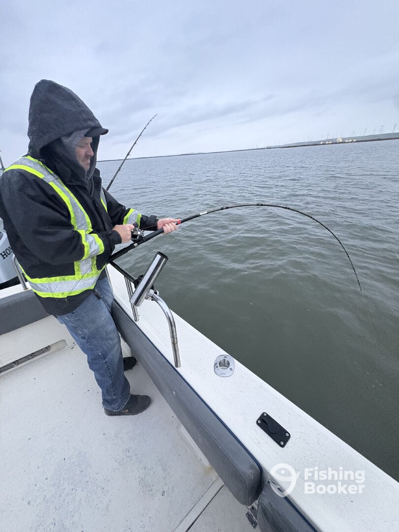 Bay Area Report Photo 0