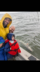 Bay Area Report Photo 1