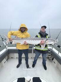 Big ones biting again today!