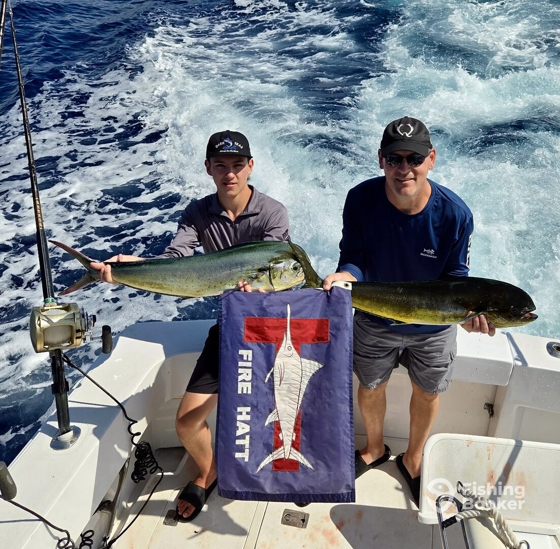 Kailua-Kona Report Photo 0