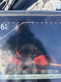 Branson Report Photo 2