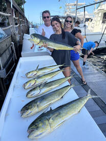 Key West Report Photo 1