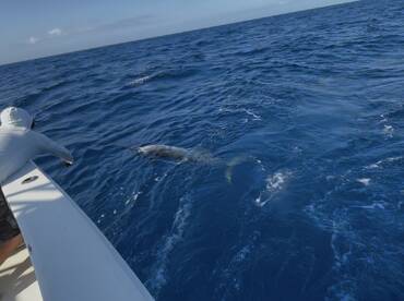 Key West Report Photo 2