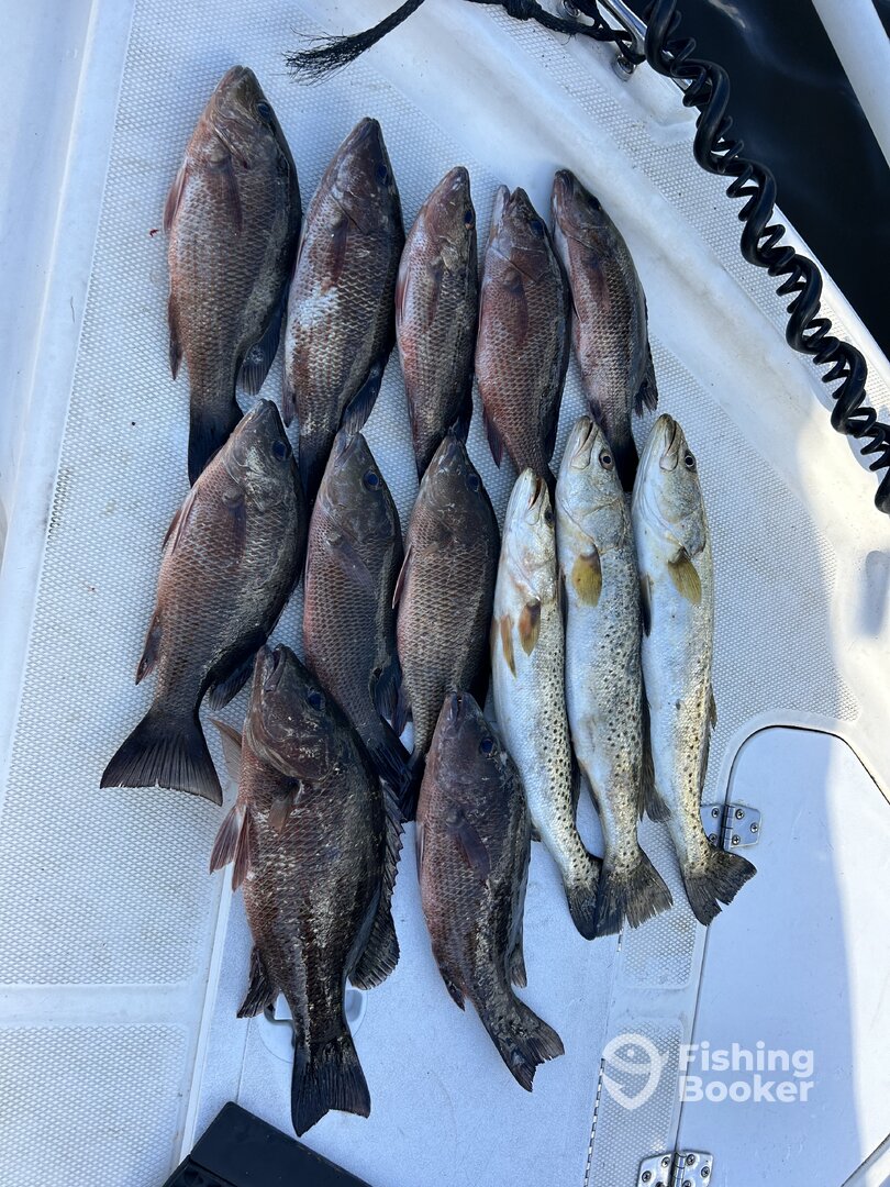 Punta Gorda Report Photo 0