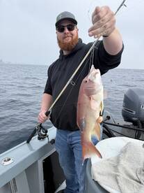 Los Angeles Report Photo 2