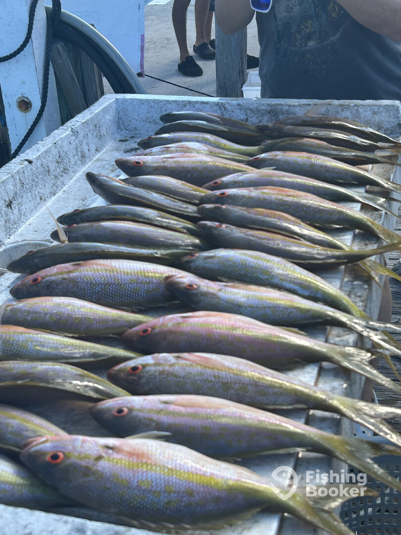 Marathon Report Photo 0