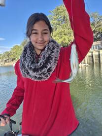 South Carolina Report Photo 1